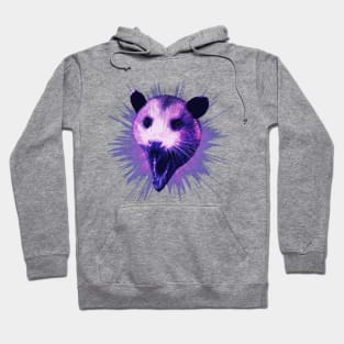 Purple Possum Screaming Hoodie